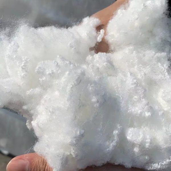 Xơ Polyester rỗng (HS) nguyên sinh, không Silicone 7D 14D 15D